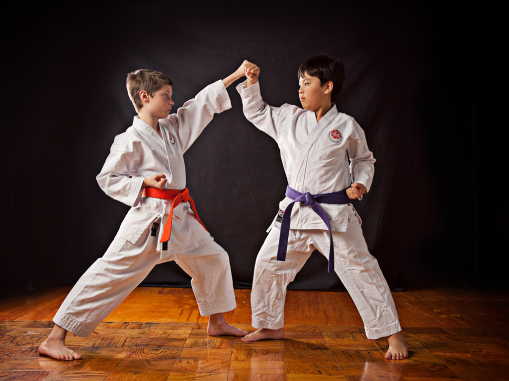 Traditional Karate About